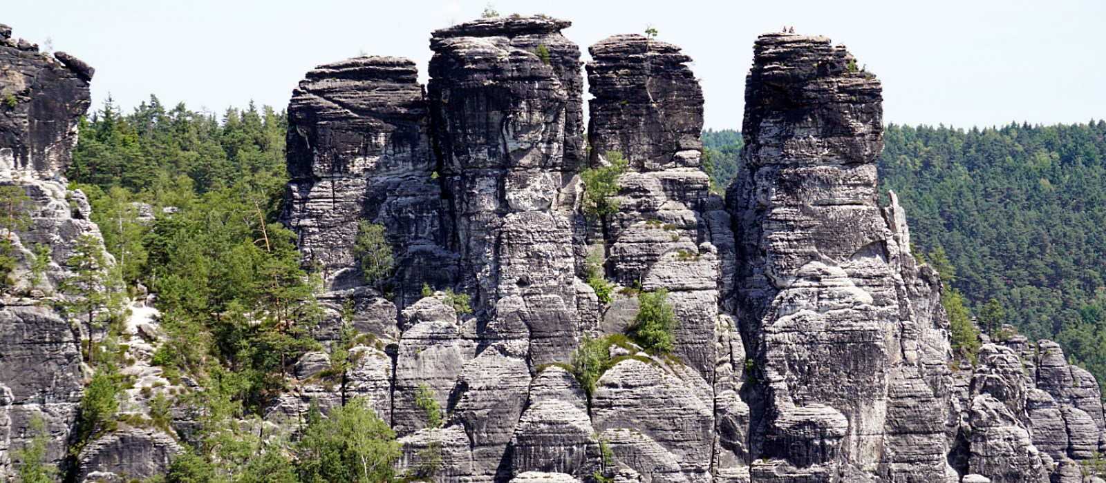 Die Gansfelsen - Sächsische Schweiz