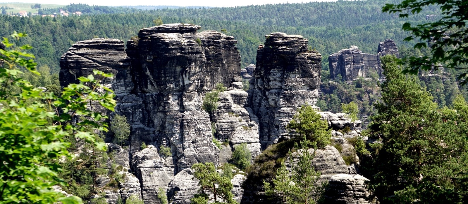 Große Gans - Kurort Rathen - Sächsische Schweiz